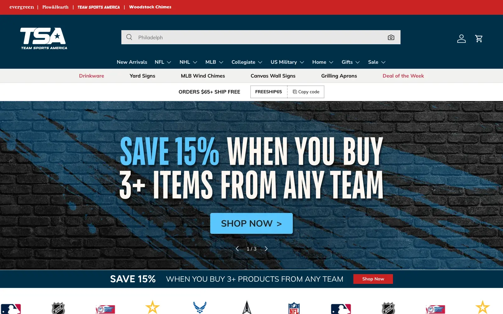 The Team Sports America home page, with navy and red branding, a league navigation bar, and promotional banners